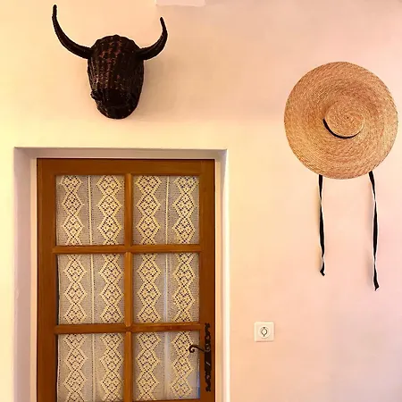 Maison De Caractere Avec Piscine Proche D Uzes *