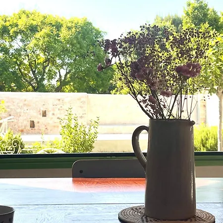 Maison De Caractere Avec Piscine Proche D Uzes Holiday home Arpaillargues-et-Aureillac